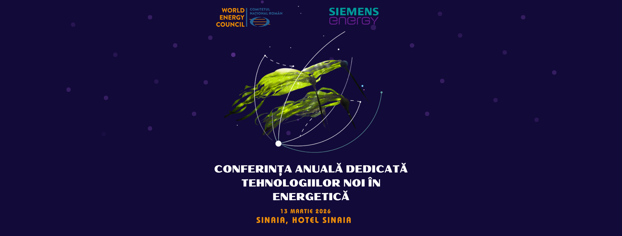 „CĂLIN MIHĂILEANU, un aristocrat al energeticii românești”